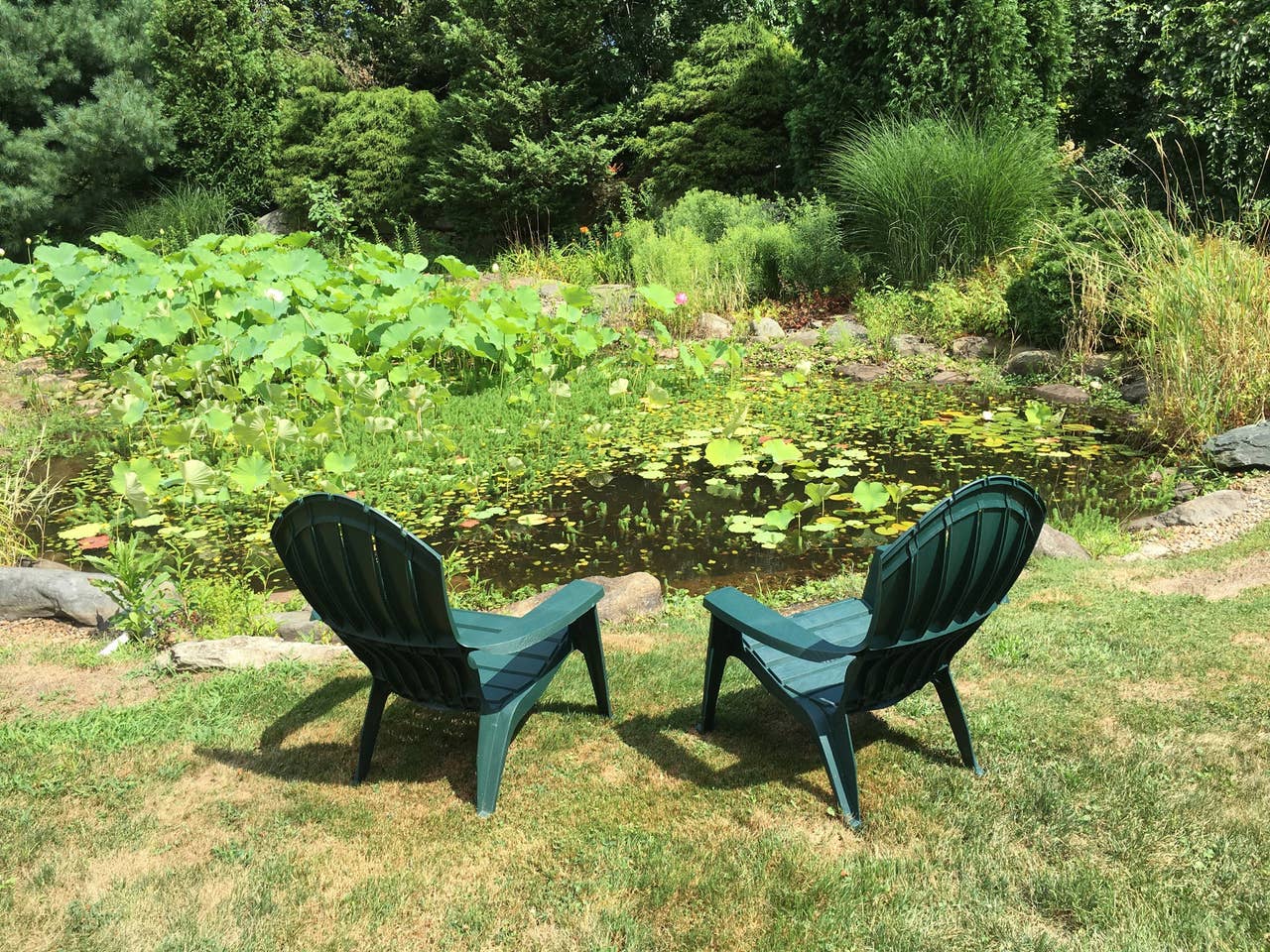 3ccfe5ec-d62b-4e58-8d7a-664fe484cb61 Caregiver Retreat Outdoors